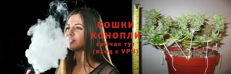 магазин продажи наркотиков  маркетплейс телеграм  Конопля OG Kush  Татарск 